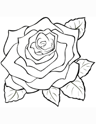 Free Rose Coloring Pages | Kids Coloring Pages