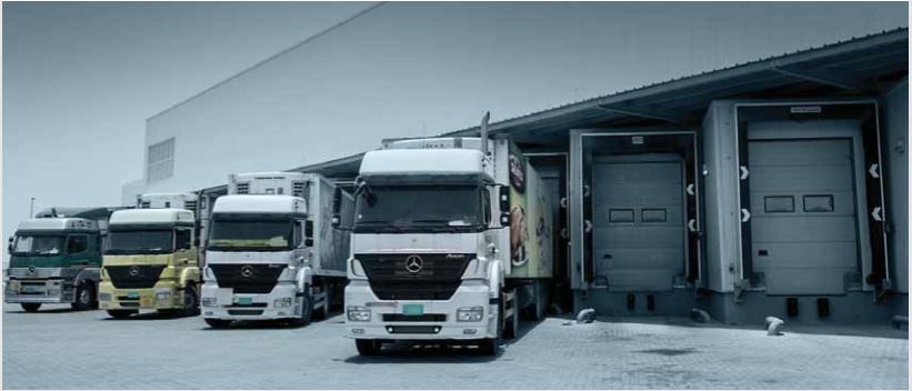 refrigerated logistics companies