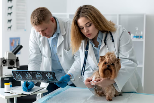 electrodiagnostic testing