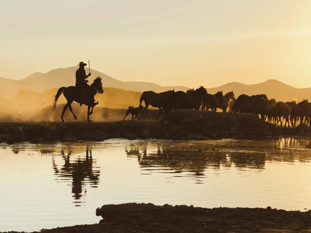 The High Cost of the Unknown: Why Ranching is Finally Embracing a Little More Certainty