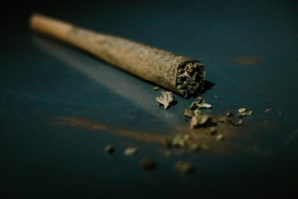 Infused Pre-Rolls Burn Differently, and That Changes How They Should Be Used