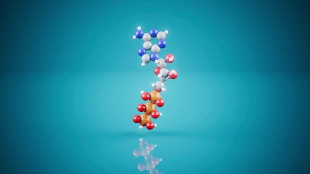 Understanding and Managing Chargeback Rates in the Peptide Industry