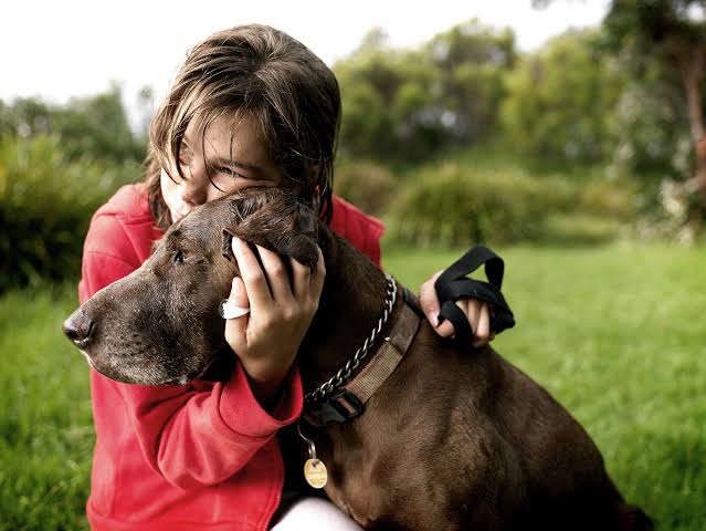 Understanding the Process When You Put Your Dog Down